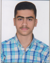 امیر حسین حاجی حسینی